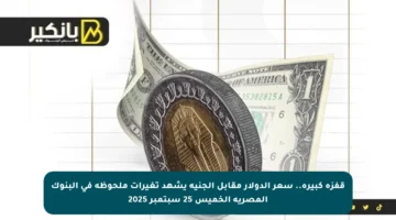 قفزة كبيرة.. سعر الدولار مقابل الجنيه يشهد تغيرات ملحوظة في البنوك المصرية الخميس 25 سبتمبر 2025